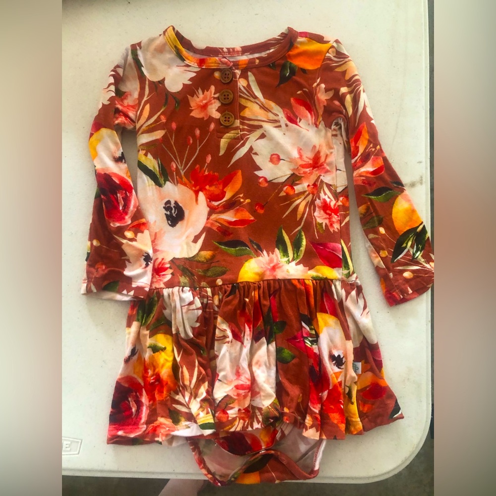 Posh Peanut Long Sleeve Twirl Skirt Bodysuit 2T